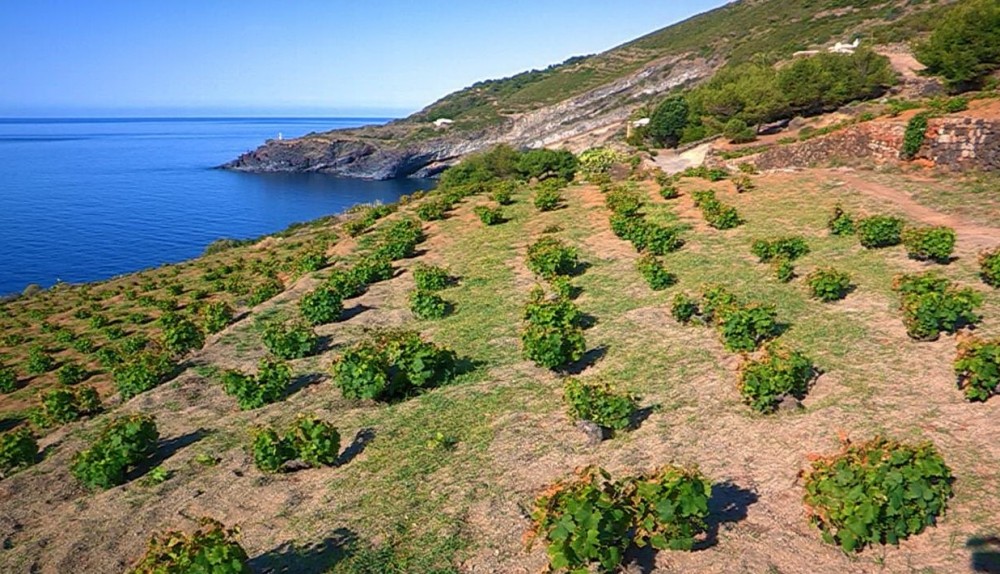 pantelleria