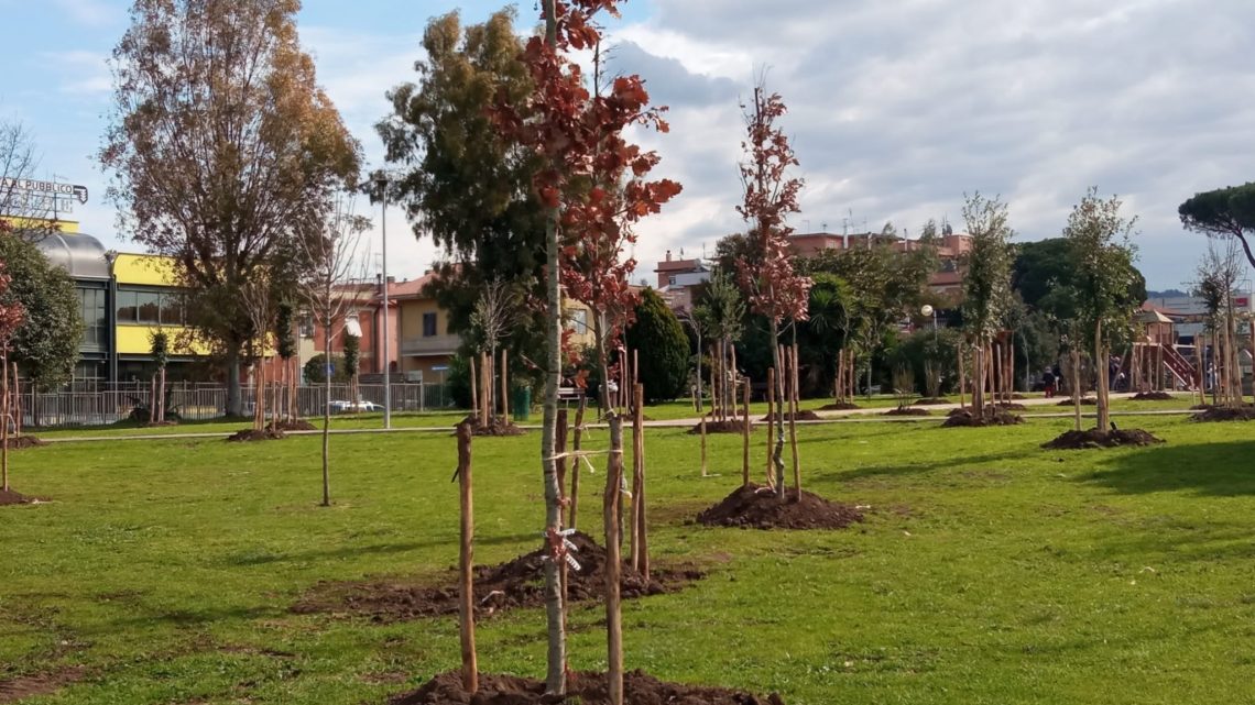 Nuovi alberi a Marino e nuovo bando “Ossigeno”, i Consiglieri Cerro, Blasetti, Colizza e Carmesini presentano un’interrogazione