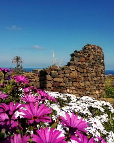 Pantelleria Foto di Tommaso Brignone